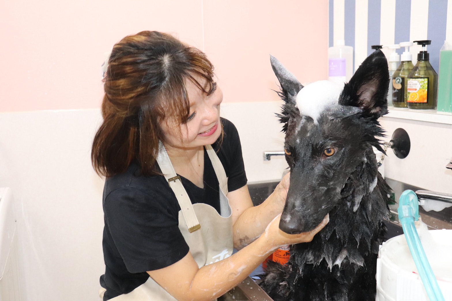 飼い主さまと一緒に